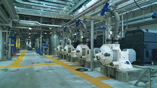 華旺科技 裝飾原紙領域的領跑者，以世界級工廠為目標的新征程